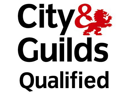 city and guilds logo city and guilds logo